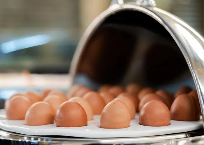 Hotel Fh55 Grand Mediterraneo 4*